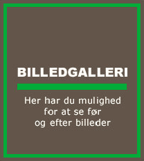 Billedgalleri